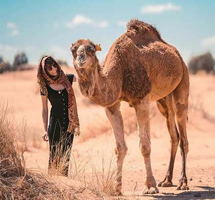 3 days tour from Marrakech to Merzouga - Fez